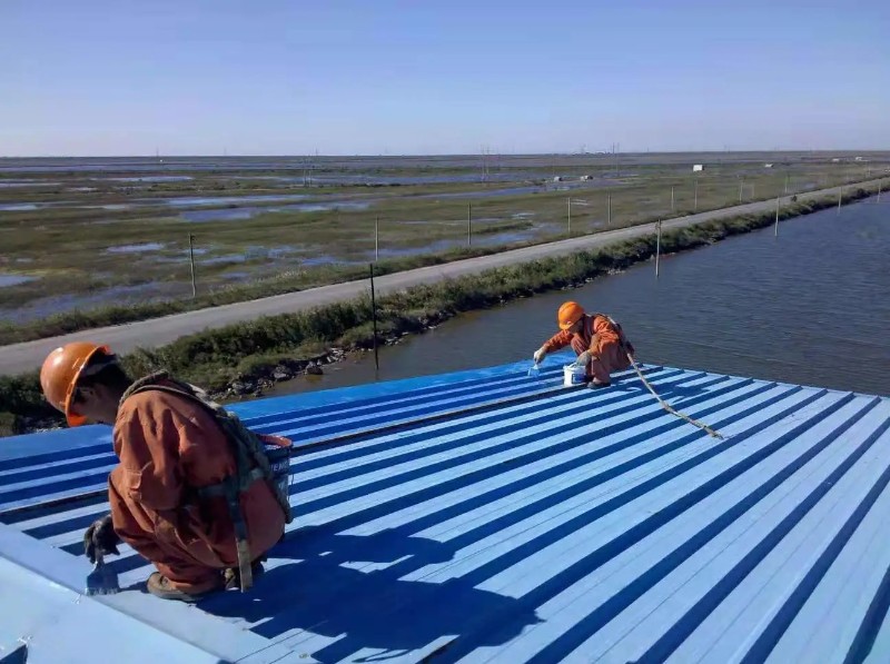 兰陵彩钢瓦屋面防腐翻新